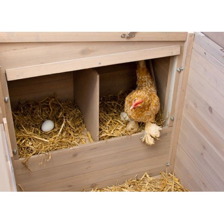 Kurník pro slepice Emma
