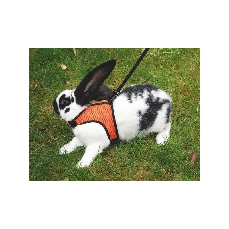 Postroj a vodítko pro králíka SPORT Postroj a vodítko pro králíka SPORT