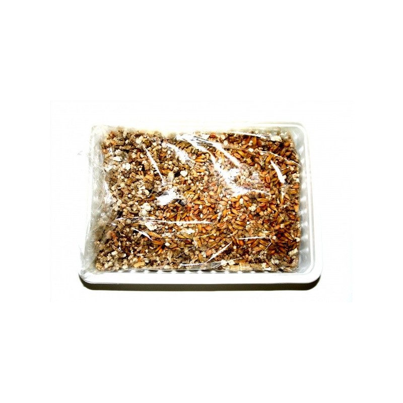 Tráva pro hlodavce, 100g