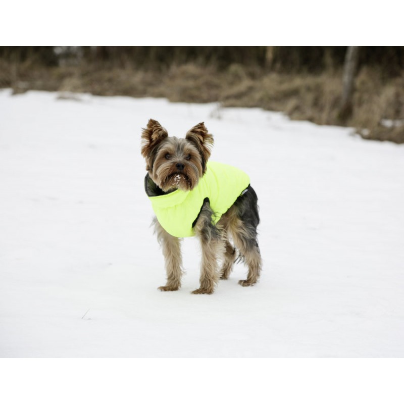 Vesta pro psa Charmonix prošívaná oboustranná, šedá/neonově žlutá Vesta pro psa Charmonix prošívaná oboustranná, šedá/neonově žlutá