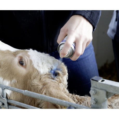 Skin Care - Blue Spray