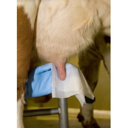 Utěrky vlhčené Uddero Clean, 800 ks