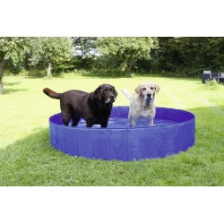 Bazén pro psy
