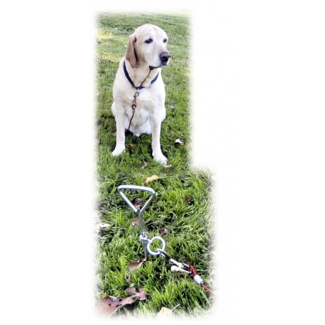 Vodítko zahradní, uvazovací kolík a lanko pro psy - sada