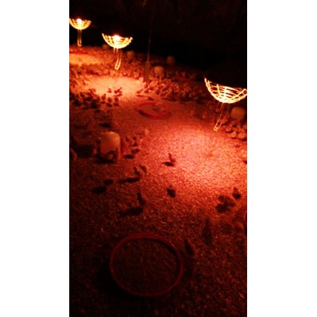 Interheat karbonová lampa pro drůbež  CPBT300, prům. 40 cm