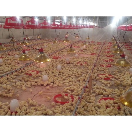 Interheat karbonová lampa pro drůbež  CPBT300, prům. 40 cm