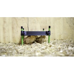 Umělá kvočna CosyHeat Mini, topná deska pro kuřata