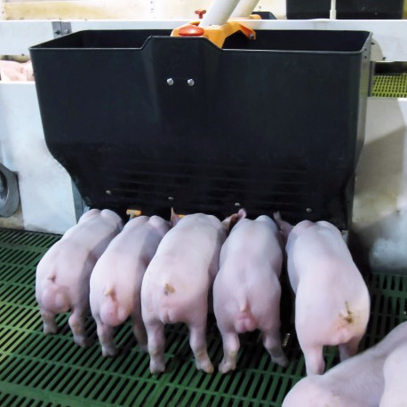 Automat krmný TR-5 , pro prasata