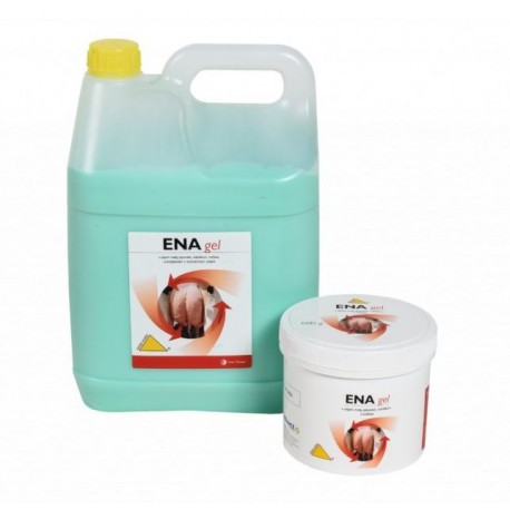 Ena Gel