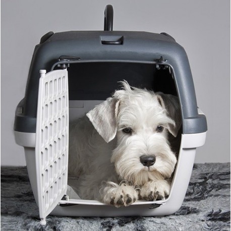 Přepravka pro psy a kočky Gulliver 1, 48x32x31cm, plastová dvířka, originál