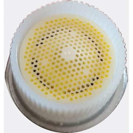 Napáječka kolíková Mono niplová, 3/8-1/2" , nerez, pro selata a běhouny, konstantní průtok