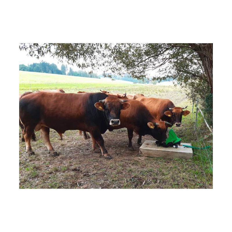 Pumpa pastevní s miskou pro mláďata P100 DUO dvoučinná