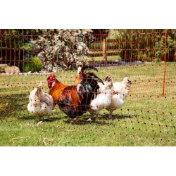 Síť vodivá pro drůbež 106 cm, 50 m, oranžová