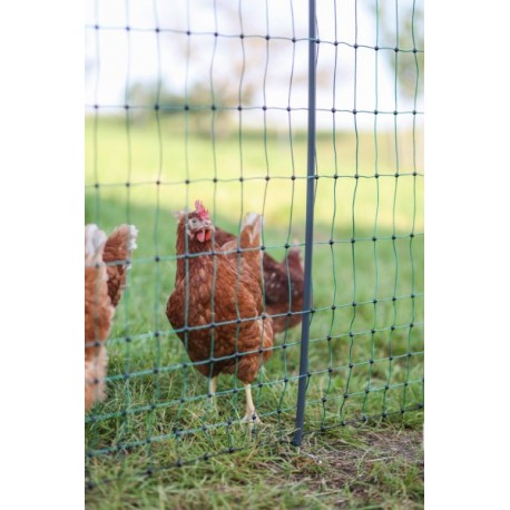 Síť premium nevodivá pro drůbež 122 cm, 50 m, zelená