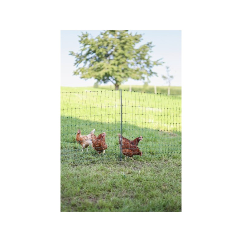 Síť premium vodivá pro drůbež 122 cm, 50 m, zelená