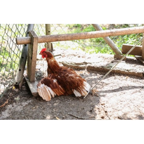 Chytací nožní háček pro drůbež 111 cm