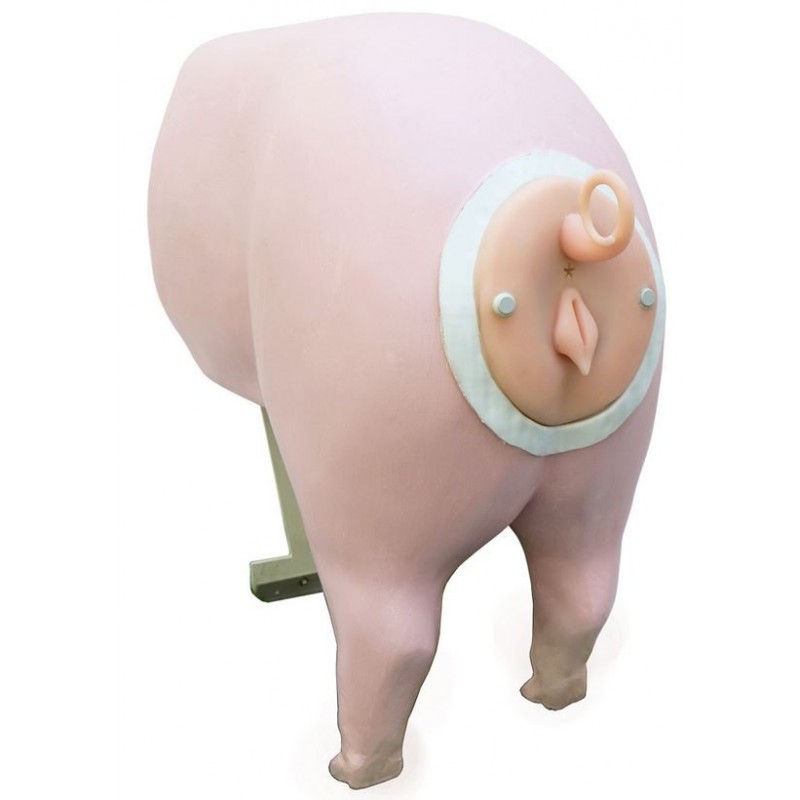 Trenažér inseminační – prasnice Suzy, vč. katetru a lubrikačního gelu