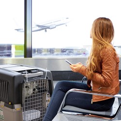 Přenoska Gulliver 5, 81 x 61 x 60 cm, kovová dvířka