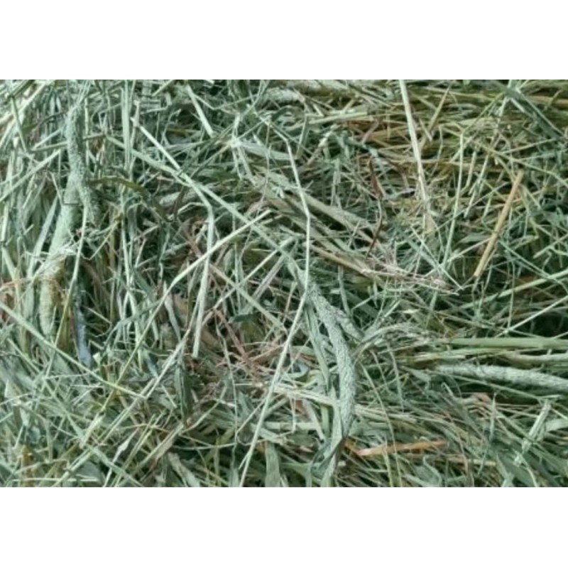 Dáme seno Seno BIO české, ručně balené - první seč