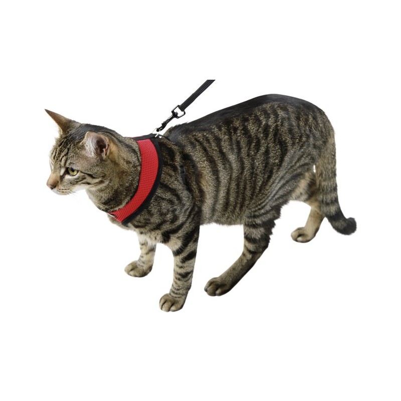 Postroj pro kočky ACTIV, s vodítkem 120 cm