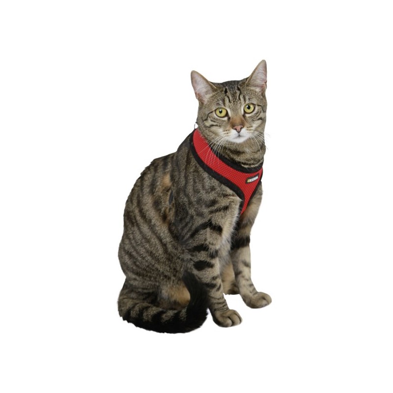 Postroj pro kočky ACTIV, s vodítkem 120 cm