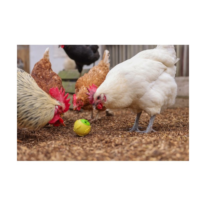 Krmítko pro drůbež - míček na zrní pro slepice, 7,5 cm