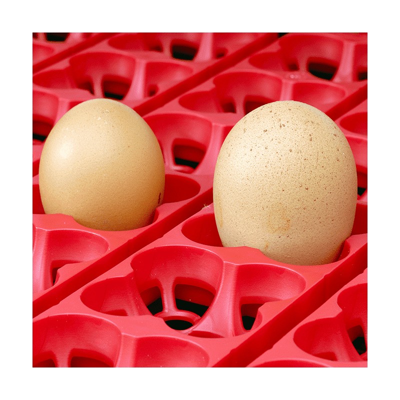 Líheň kuřat COVINA SUPER ET12, digitální automatická