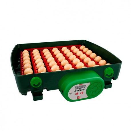 Líheň kuřat COVINA TOP ET49 (EGG TECH), digitální automatická, s dolíhní WIFI