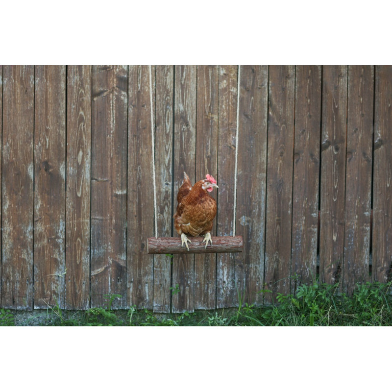 Bidýlko pro slepice - houpačka pro drůbež 39 x 5 cm Bidýlko pro slepice - houpačka pro drůbež 39 x 5 cm