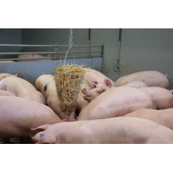 Jesle na seno kruhové s rukojetí, průměr 38 cm Jesle na seno kruhové s rukojetí, průměr 38 cm