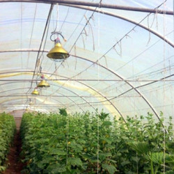 Interheat karbonová lampa do skleníků