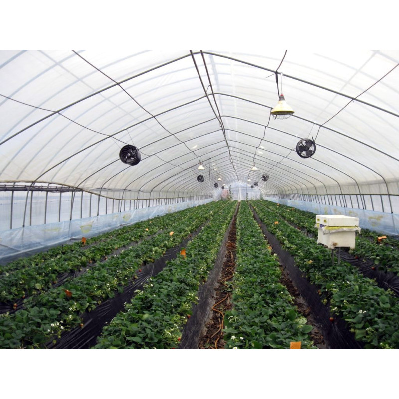 Interheat karbonová lampa do skleníků