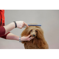 Aesculap Hřeben na pudly