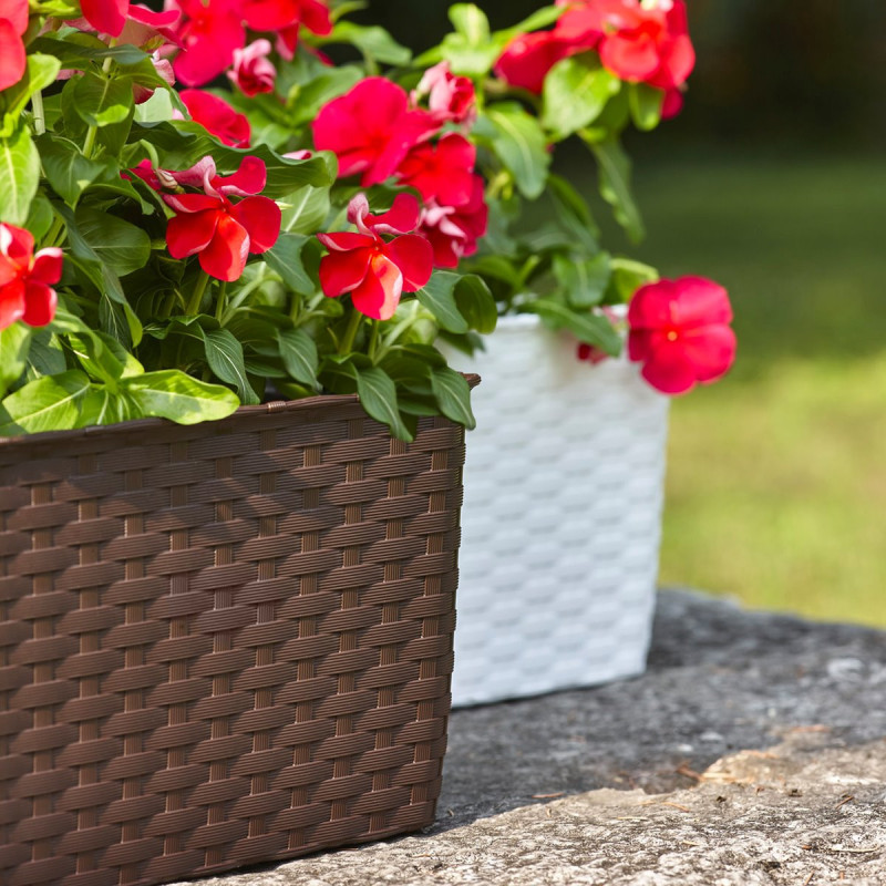 Truhlík Natural, samozavlažovací, moka