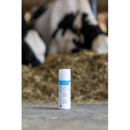 Aloxan stříbrný, sprej