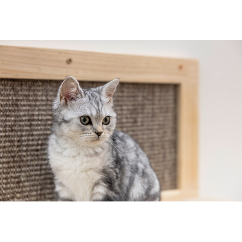 Škrabadlo pro kočky - odpočívadlo pro kočku Timber, nástěnné, 58 x 89 cm