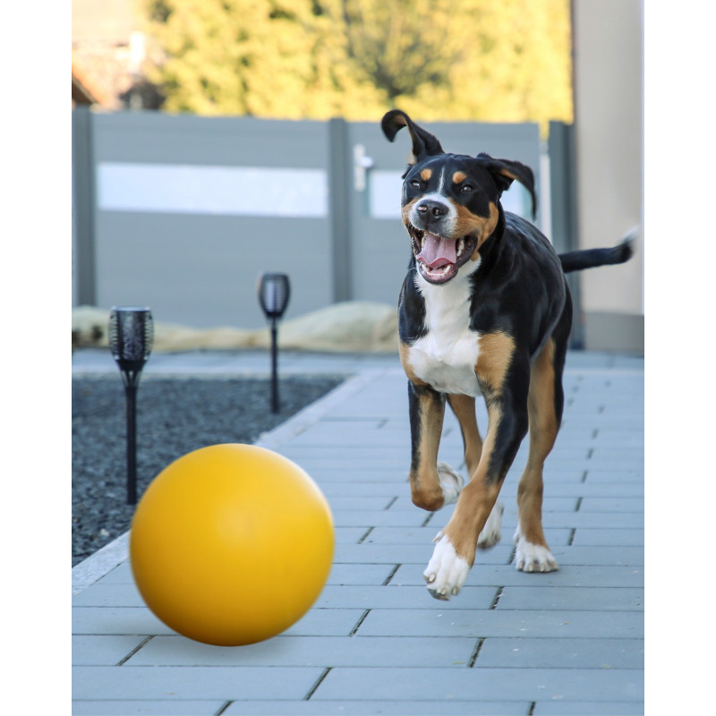 Hračka pro psy - balón plastový plovoucí, 30 cm, žlutý