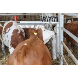 Drbadlo pružinové Texas