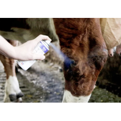 Skin Care - Blue Spray