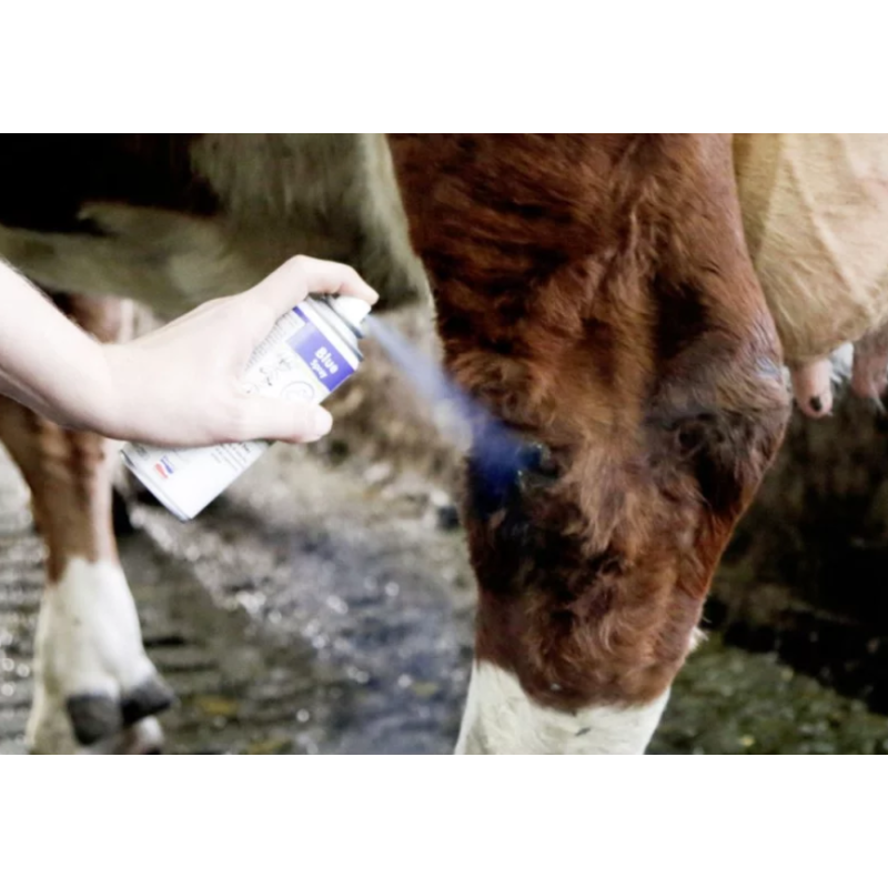 Skin Care - Blue Spray