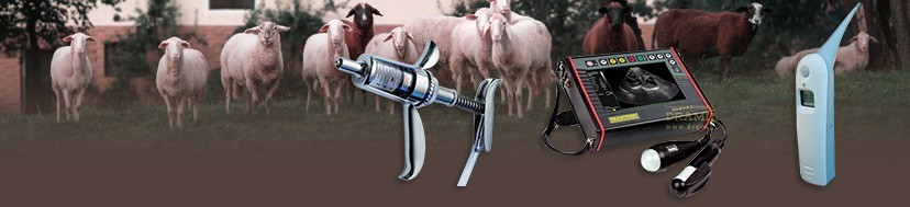 Veterinární pomůcky